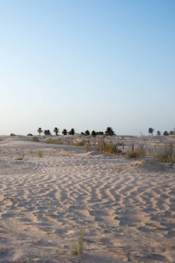 Waves in the sand. Beautiful landscape at Sahara desert, Tunisia