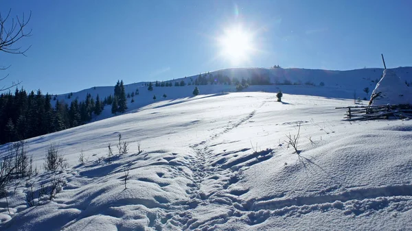 Schneebedeckter Und Sonnendurchfluteter Rasen Mit Klarem Schnee Mit Seltenen Fußspuren — Stockfoto