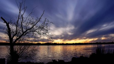 Sahilde yalnız bir ağaç ve koyu mavi gökyüzü ve bahar akşamında gölün dalgalı sularında yansıması olan sihirli bir günbatımı.