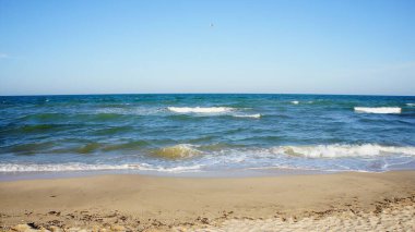 Deniz. Okyanus. Deniz yüzeyi, ışık dalgaları, ıssız bir plaj ve bulutsuz bir gökyüzünde yalnız bir martı. Ufuk çizgisi. Koyu mavi su, temiz kumsal. Azov Denizi