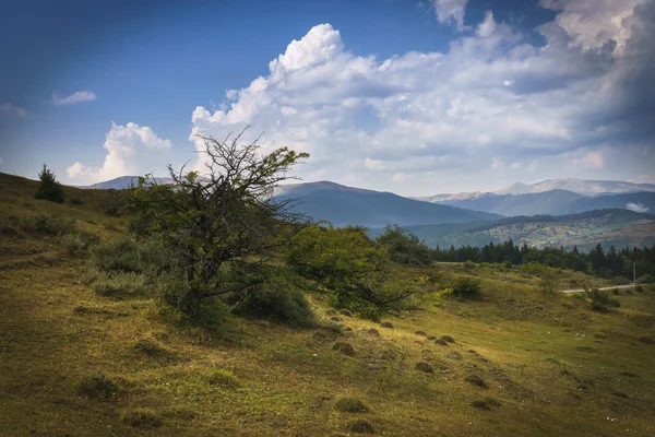 dağ zirvesi ve bulutlar