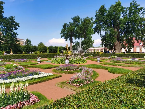 Szentpétervár Peterhof Nyáron — Stock Fotó