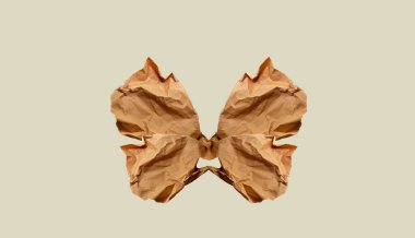 Kahverengi kağıt, kağıt parçası, kelebek kanatları, izole edilmiş. Modern soyut resim, çizgi sanatı. Kavramsal böcek soyutlaması, malzemelerin sürdürülebilir kullanımı, buruşmuş kullanılmış kağıt. Minimalist kağıt duvar kağıdı