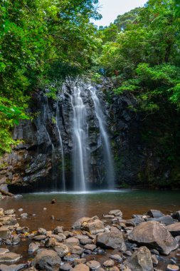 Yağmur ormanındaki şelale 