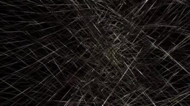 Uzun çizgiler ışığı yansıtan çok sayıda hareketli çizgilerle çakıştı..