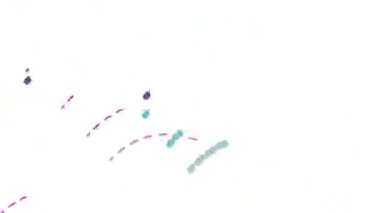 Uzun, renkli çizgiler uyum içinde hareket ediyor, parlak ve güzel görünüyor..