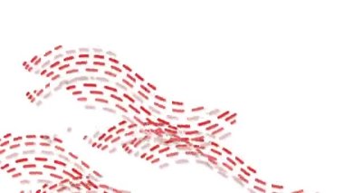 Uzun çizgiler, renkler sürekli hareket ediyor, şık ve güzel görünüyorlar..