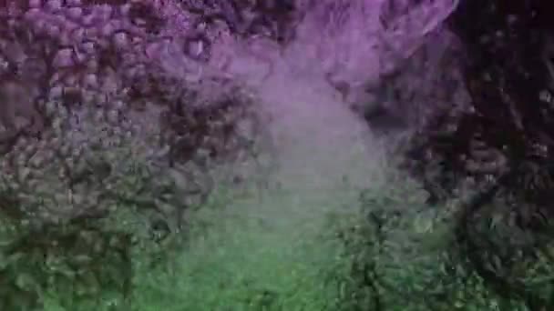 Вода Постійно Тече Висоти Яка Утворює Повітряні Бульбашки — стокове відео