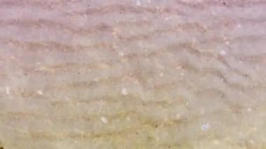 Yarık, metal bir arka planda görünen bir kontrol işareti..