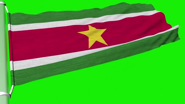 Прапор Суринаму Непорушно Погойдувався — стокове відео