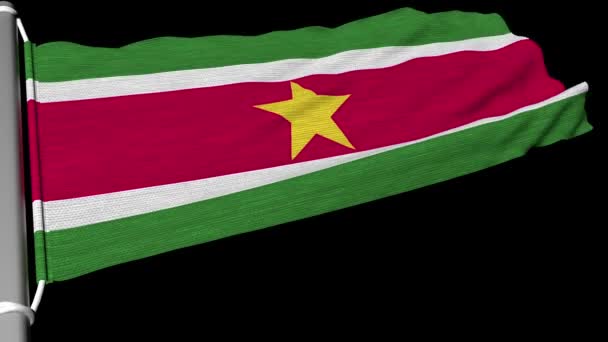 Suriname Nin Bayrağı Sabit Bir Rüzgar Akışında Sallandı — Stok video