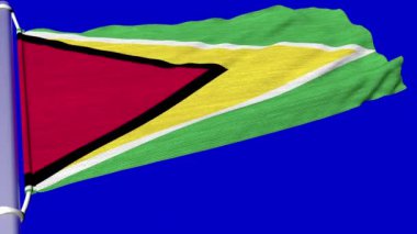Guyana bayrağı sürekli dalgalanan bir rüzgarda dalgalanıyordu..