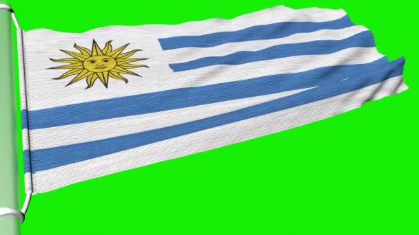 Uruguay Bayrağı Sabit Bir Rüzgar Akışında Dalgalanıyordu — Stok video