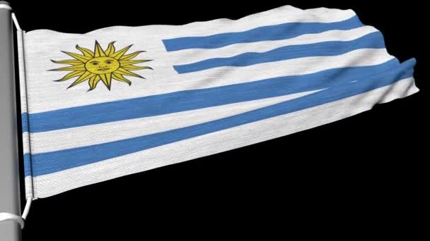 Uruguay Flag Fluttered Steady Stream Wind — Stock Video