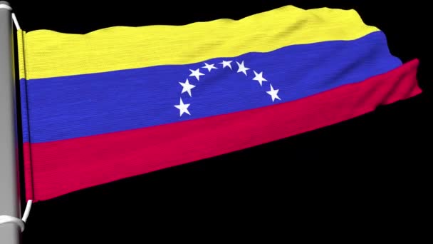 Bolivariaanse Republiek Venezuela — Stockvideo