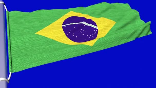 Brasiliens Flagga Flyger Stadig Ström Vind — Stockvideo