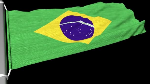 Flag Brazil Flies Steady Stream Wind — Stock Video