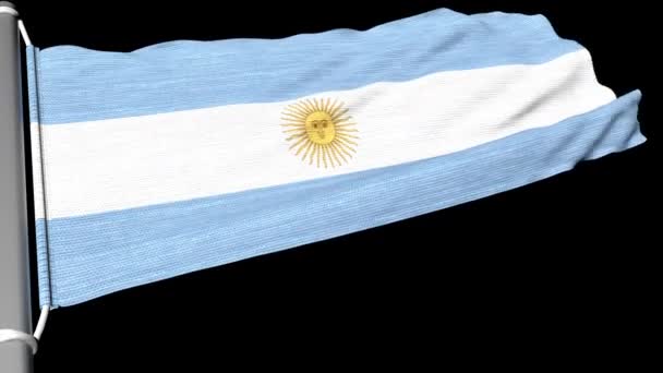 Bandera Argentina Ondea Flujo Constante Viento — Vídeos de Stock