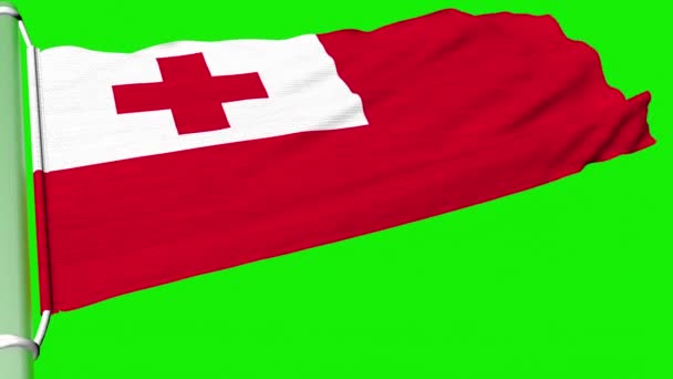 Bandeira Reino Tonga Estava Agitando Fluxo Constante Vento — Vídeo de Stock