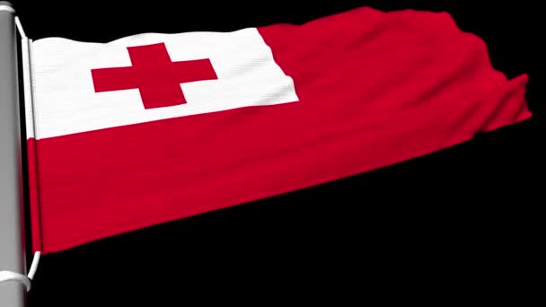 Die Flagge Des Königreichs Tonga Wehte Einem Stetigen Windstrom — Stockvideo