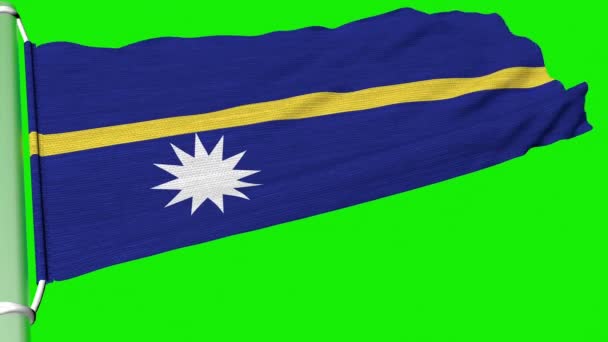 Прапор Науру Пурхав Постійному Вітрі — стокове відео