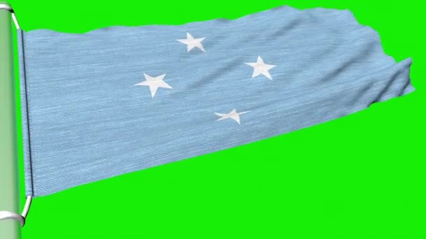 Vlajka Mikronésie Vlaje Nepřetržitém Proudu Větru — Stock video