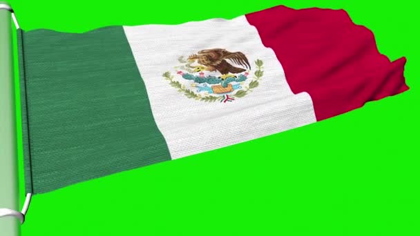 Flag Mexico Fluttering Steady Stream Wind — Stock Video