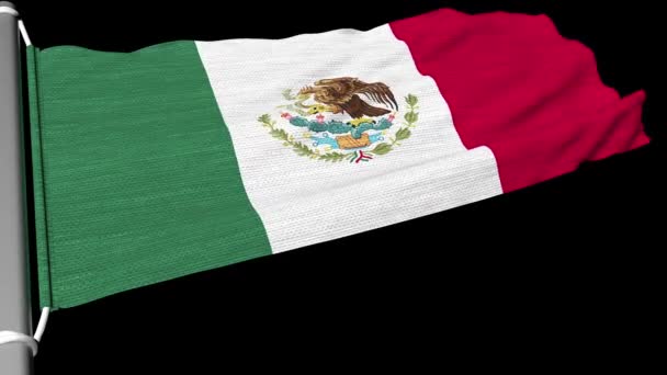 Flag Mexico Fluttering Steady Stream Wind — Stock Video