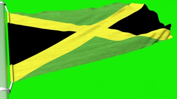 Vlag Van Jamaica Vliegt Een Gestage Stroom Van Wind — Stockvideo