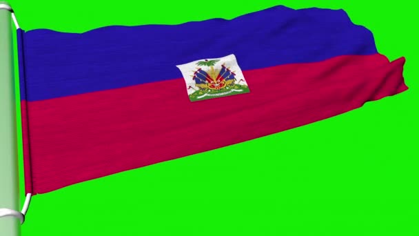 Гаїті Прапор Пурхав Постійному Вітрі — стокове відео