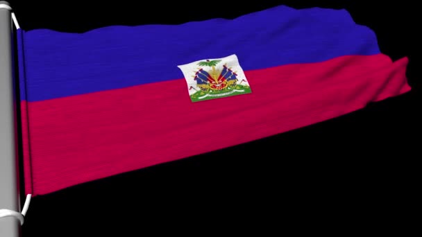Bandera Haití Ondeaba Una Corriente Constante Viento — Vídeo de stock