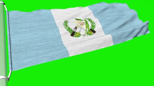 Flaga Republiki Gwatemali Powiewa Stałym Strumieniu Wiatru — Wideo stockowe