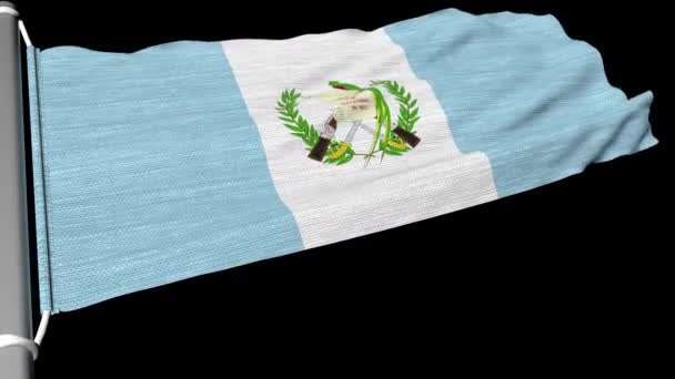 Die Flagge Der Republik Guatemala Weht Einem Stetigen Windstrom — Stockvideo