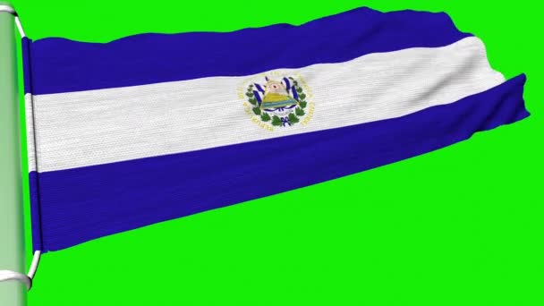 Flaga Salwadoru Powiewa Stałym Strumieniu Wiatru — Wideo stockowe