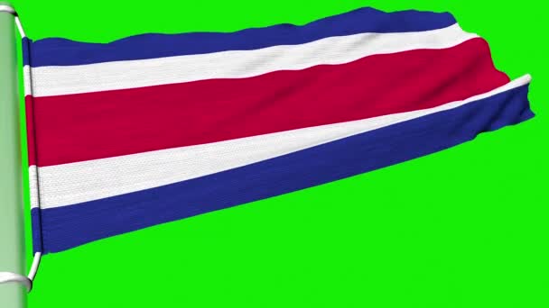 Tayland Krallığı Bayrağı Sürekli Rüzgarın Gücüyle Dalgalanıyordu — Stok video