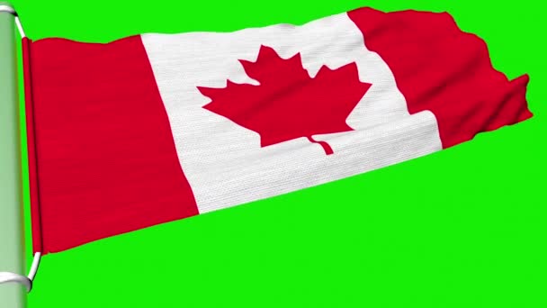 Canadese Vlag Wappert Een Gestage Wind — Stockvideo