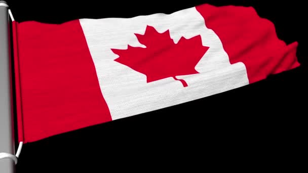 Bandeira Canadense Voa Fluxo Constante Vento — Vídeo de Stock