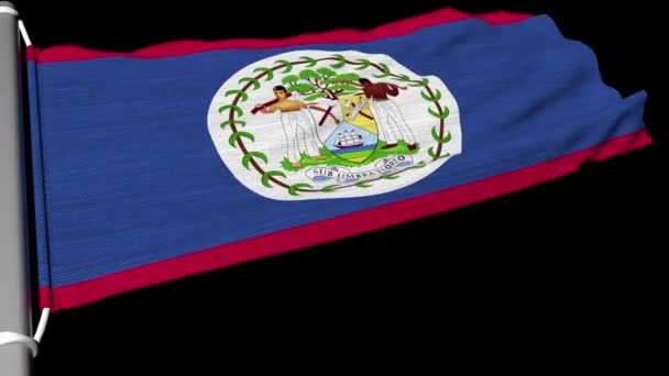 Flag Belize Fluttering Steady Stream Wind — Stock Video