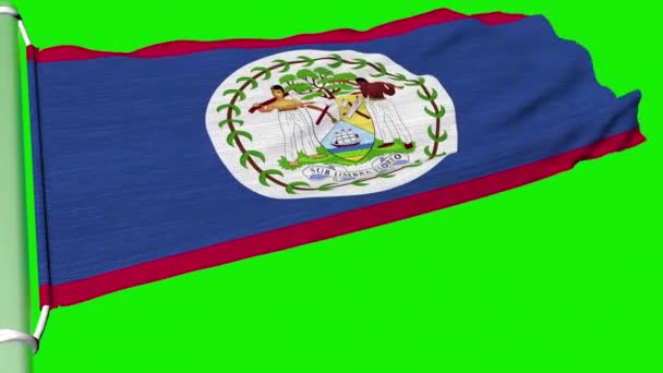 Belize Zászlaja Lobogott Szél Egyenletes Áramlatában — Stock videók