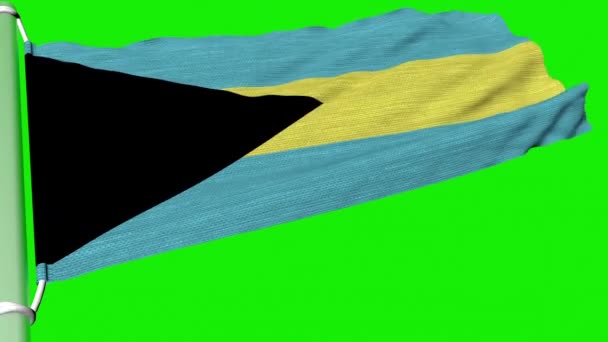 Флаг Багамских Островов Развевался Постоянном Потоке Ветра — стоковое видео
