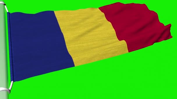 Romanya Bayrağı Rüzgarın Durmaksızın Dalgalandı — Stok video