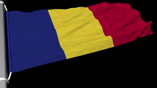 Флаг Румынии Постоянно Махал Ветром — стоковое видео