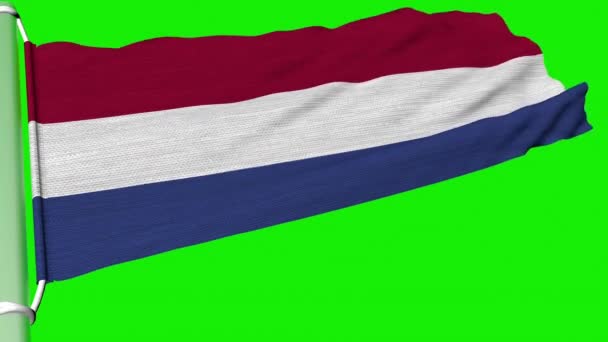 Прапор Королівства Нідерланди Летить Постійному Вітрі — стокове відео