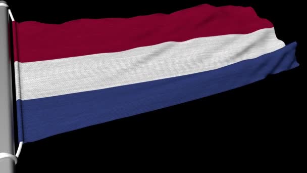 Флаг Королевства Нидерландов Развевается Постоянном Потоке Ветра — стоковое видео
