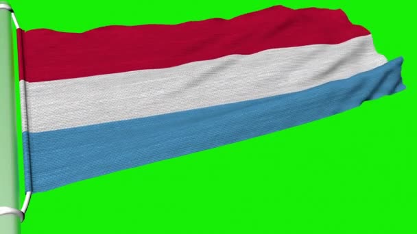 Flaga Luksemburga Powiewa Stałym Strumieniu Wiatru — Wideo stockowe
