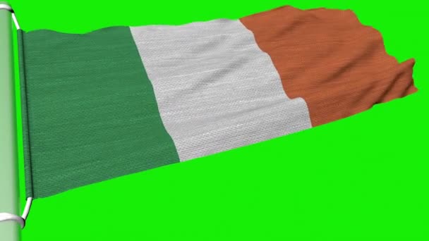 Irská Vlajka Vlaje Nepřetržitém Proudu Větru — Stock video
