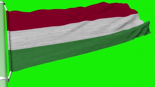 Угорський Прапор Летить Постійному Вітрі — стокове відео