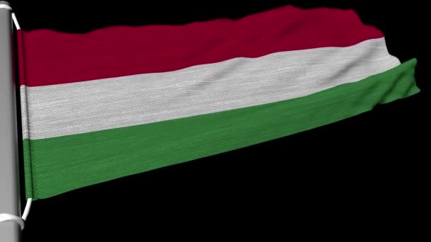 Bandeira Húngara Voa Fluxo Constante Vento — Vídeo de Stock