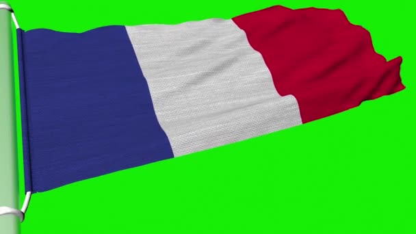 Flaga Republiki Francuskiej Powiewa Stałym Strumieniu Wiatru — Wideo stockowe