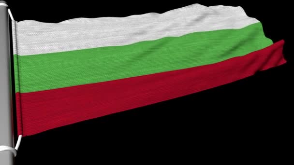 Bandera Búlgara Ondea Una Corriente Constante Viento — Vídeos de Stock